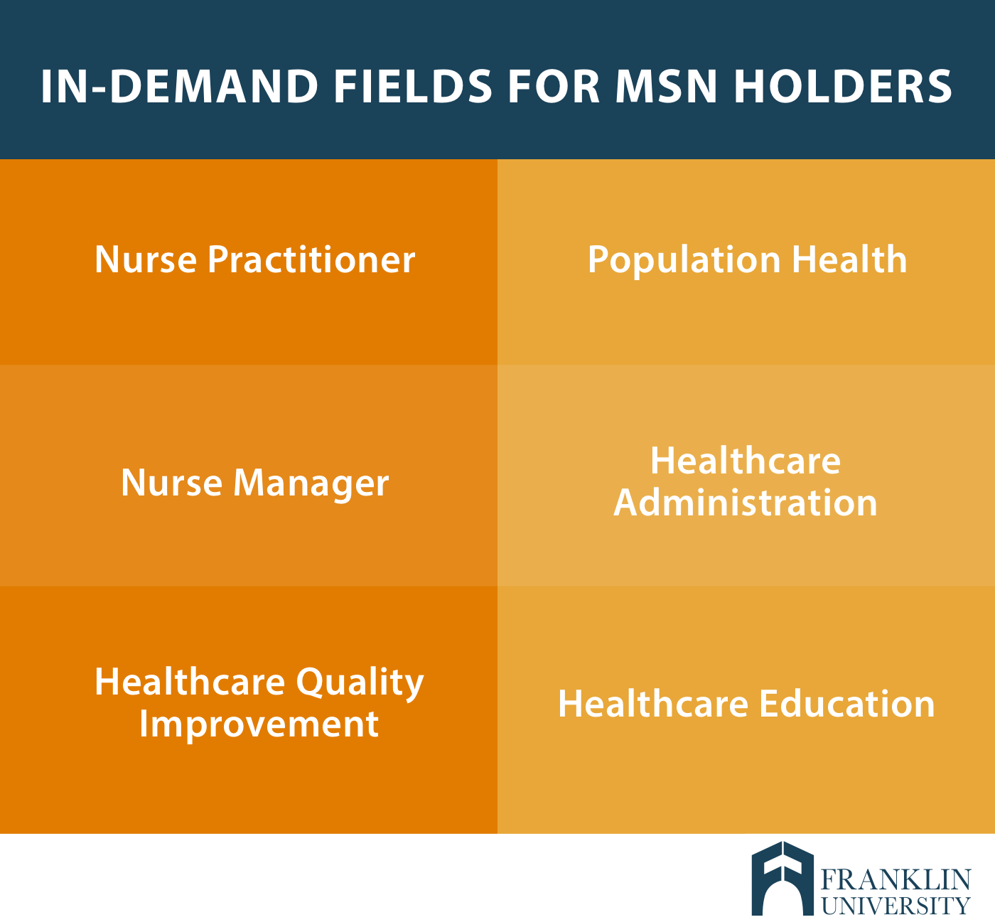 graphic describes in-demand fields for MSN holders